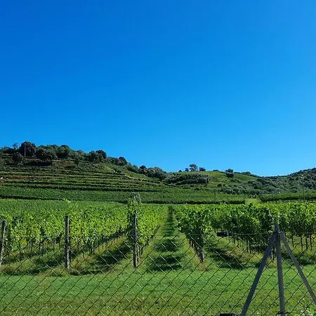 Casetta Sui Colli Euganei Valnogaredo
