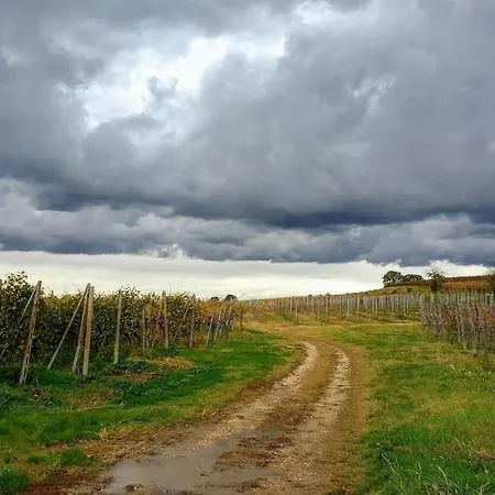 Casetta Sui Colli Euganei * Valnogaredo