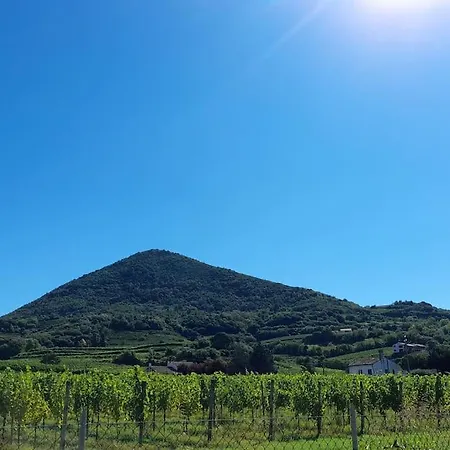 Casetta Sui Colli Euganei *